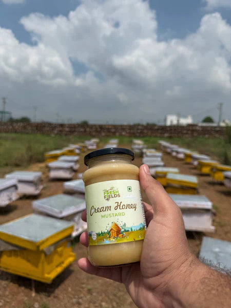 🍯 Raw Honey vs Processed Honey: Which One Should You Choose?