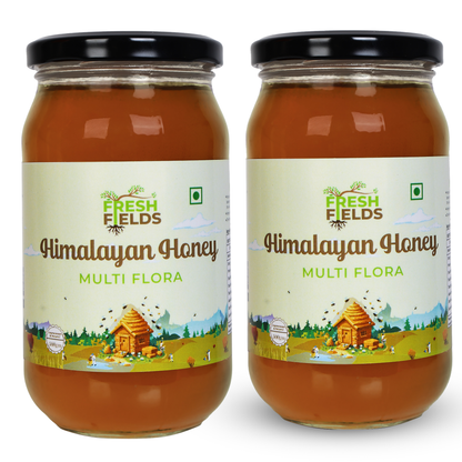 MULTI-FLORA Honey 500gm X 2